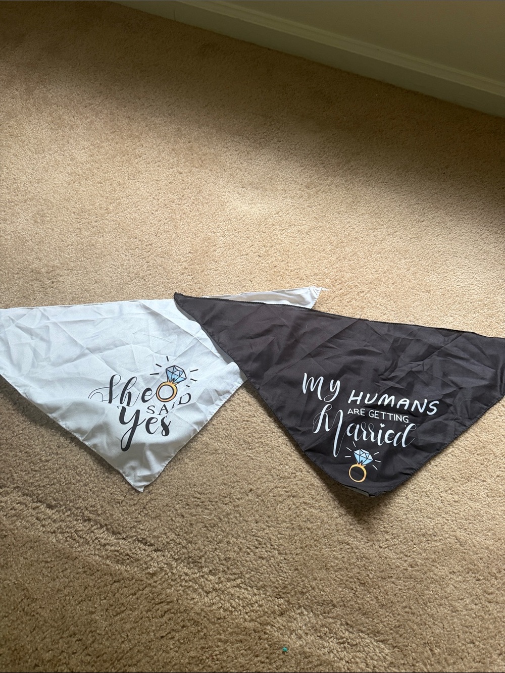 Dog Bandana